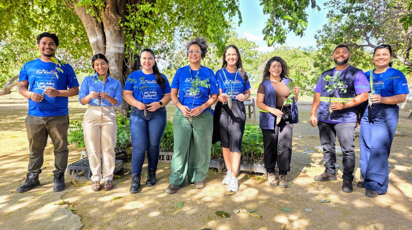 Mutirão ambiental promove plantio de mil mudas nativas em São Raimundo Nonato
