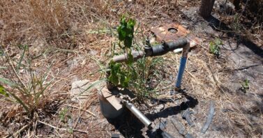 Em Jaicós, Águas do Piauí reforça ações para manter abastecimento durante o B-R-O-BRÓ